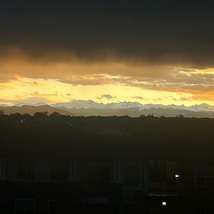 Meet your Posher, Vincent